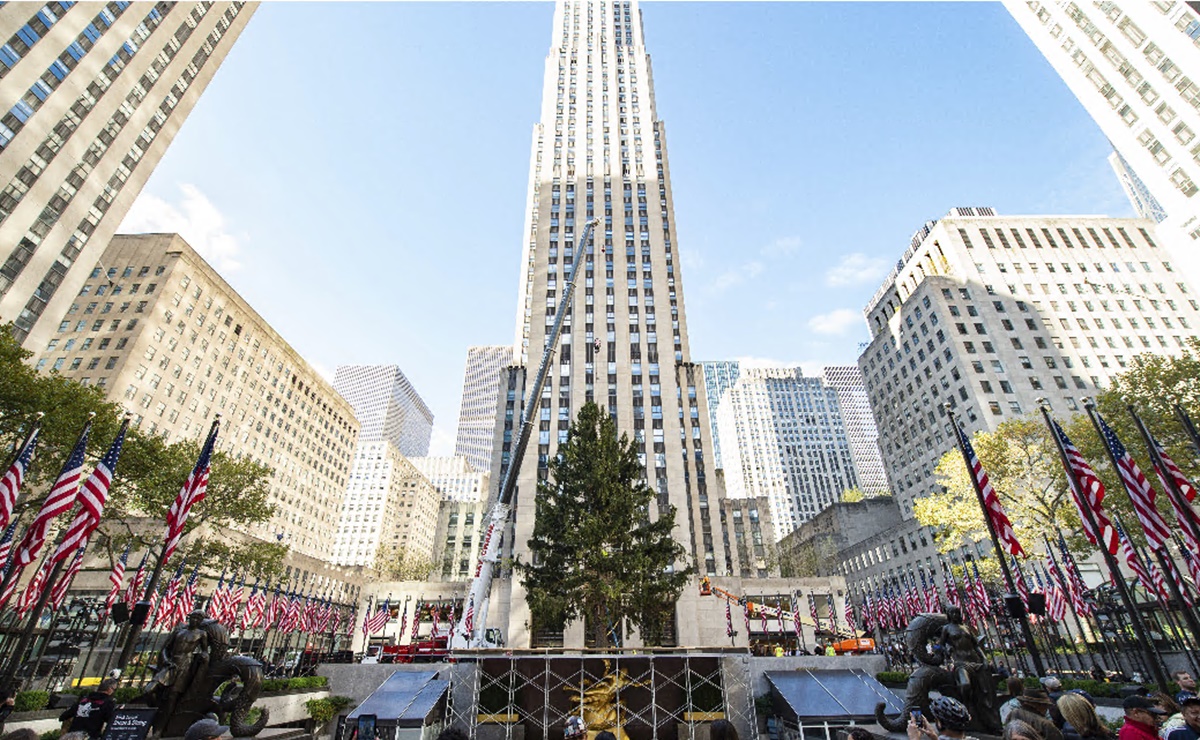 Llega a Nueva York el emblem&aacute;tico &aacute;rbol de Navidad del Rockefeller Center