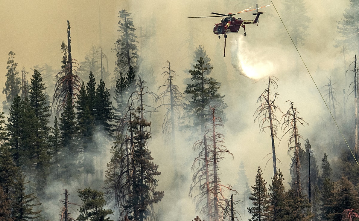 Fuerte incendio amenaza las secuoyas en el parque de Yosemite (Fotos)