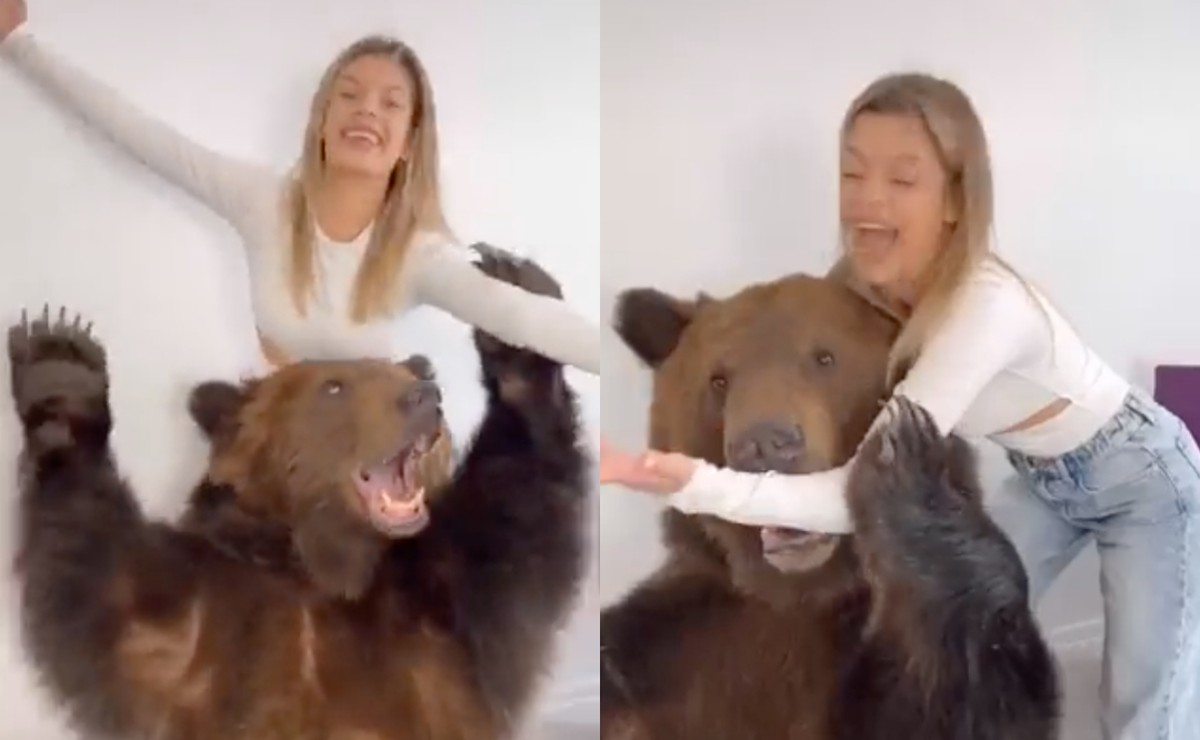 Investigan a tiktoker por llevar un oso a casa para “entretener” a su hijo